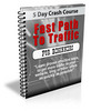 Thumbnail Fast Path To Traffic Newsletter 