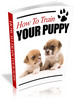 Thumbnail How to Train Your Puppy Thumbnail How to Train Your Puppy