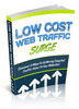 Thumbnail Low Cost Web Traffic Surge  with (PLR)