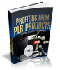 Thumbnail Profiting From PLR Products Thumbnail Profiting From PLR Products