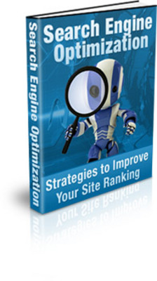 Product picture Search Engine Optimization (PLR)