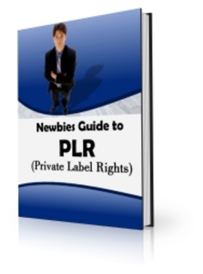 Product picture Newbies Guide to PLR (PLR)