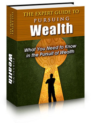 Product picture The Expert Guide to Pursuing Wealth (PLR)
