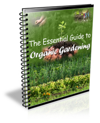 Product picture The Essential Guide to Organic Gardening(PLR)