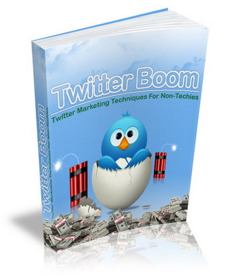 Product picture NEW 2010 Twitter Boom (MRR)
