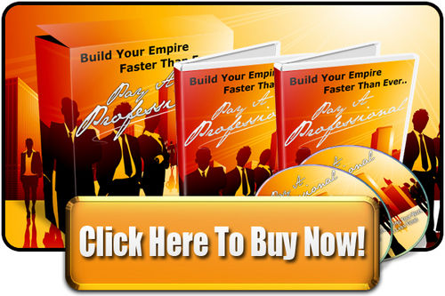 Product picture Pay a Professional  Video Series .rar