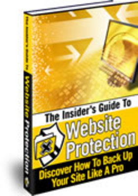 Product picture Insiders Guide to Website Protection