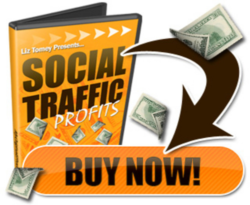 Product picture NEW 2010 Social Traffic Profits Video Series (MRR ).rar