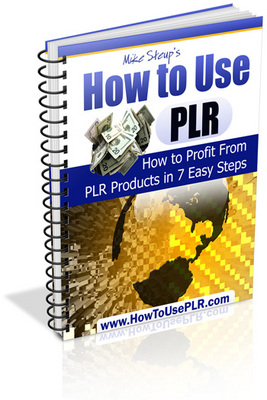 Product picture NEW 2010 How to Use PLR (MRR)