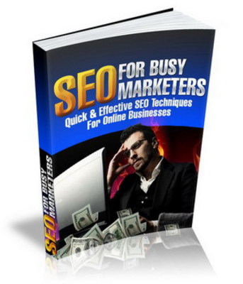 Product picture New 2010 SEO for Busy Marketers