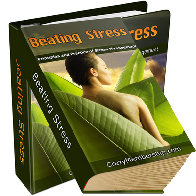 Product picture NEW 2010 Beating Stress (PLR)