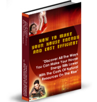 Product picture Energy Efficient House (PLR)