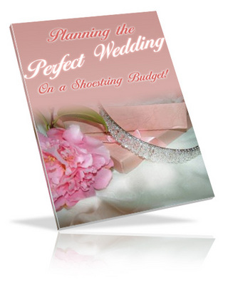 Product picture Planning Perfect Wedding (PLR)