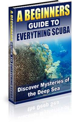 Product picture A Beginners Guide to Everything Scuba