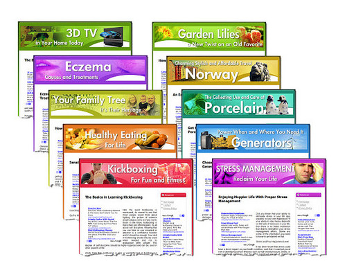 Product picture 10 Niche Websites with (MRR)