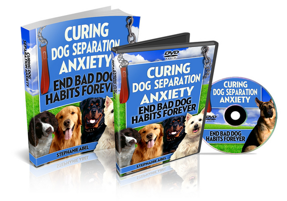 Product picture Curing Dog Separation Anxiety With (PLR)