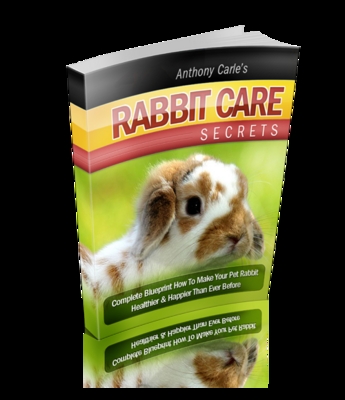 Product picture Rabbit Care 