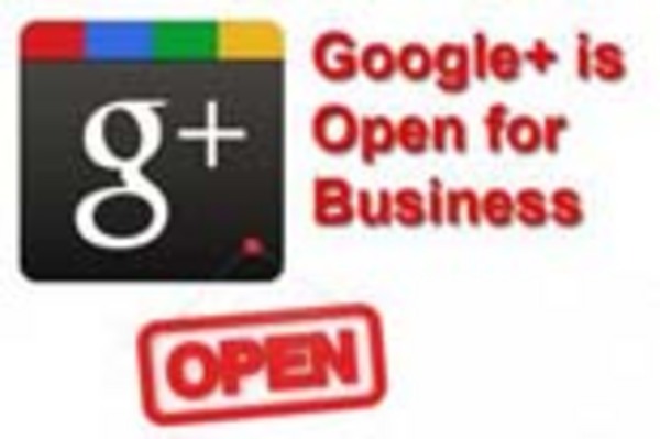 Product picture Google+ Business Blueprint With (PLR)