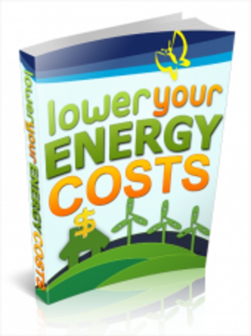 Product picture Lower Your Energy Costs with (PLR)