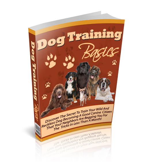Product picture Dog Training Basics 