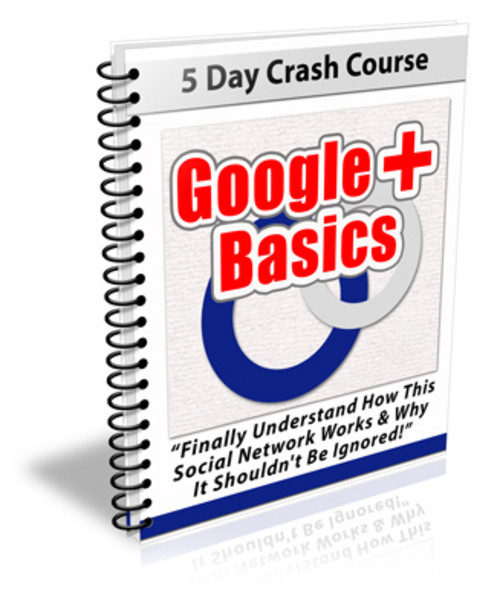 Product picture Google Plus Basics Newsletter with (PLR)