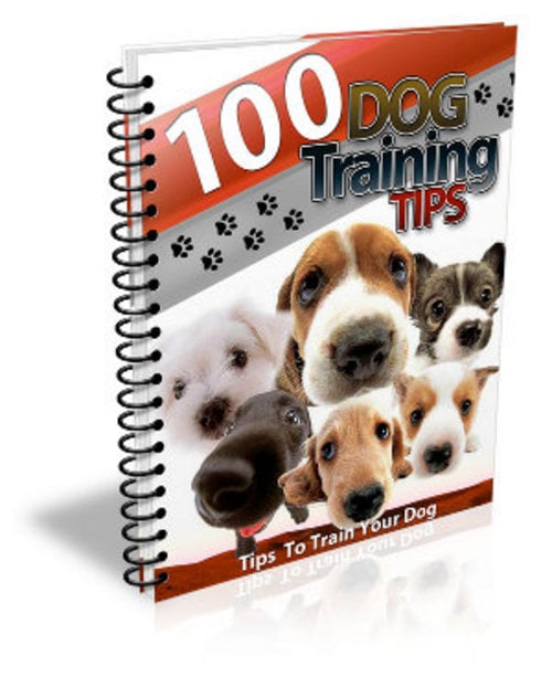 Product picture 100 Dog Training Tips with (MRR)
