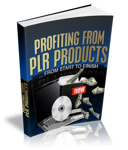 Product picture Profiting From PLR Products 
