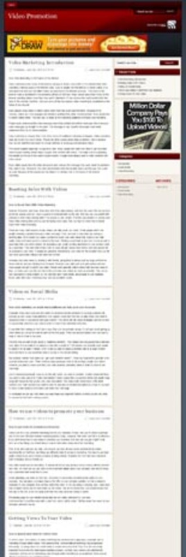 Product picture Video Niche Blog with (PLR)