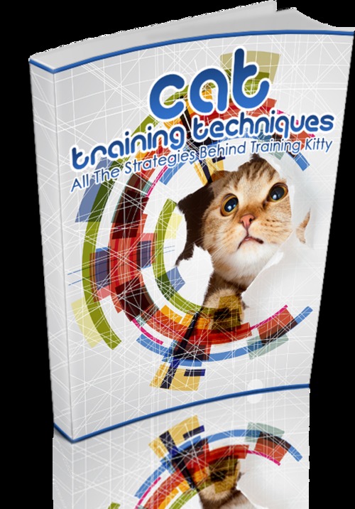 Product picture Cat Training Techniques with (MRR)