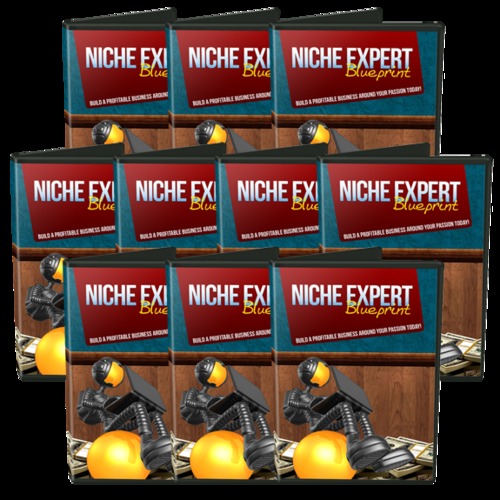Product picture Niche Expert Blueprint 