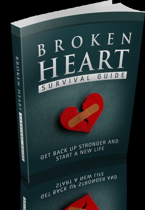 Product picture Broken Heart Survival Guide With (MRR)