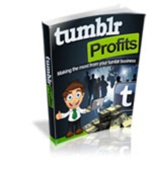 Product picture  2014 Tumblr Profits +Articles