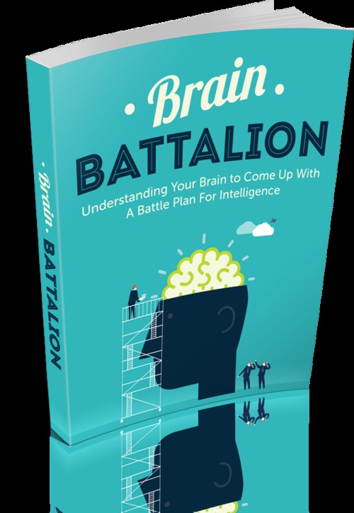 Product picture Brain Battalion