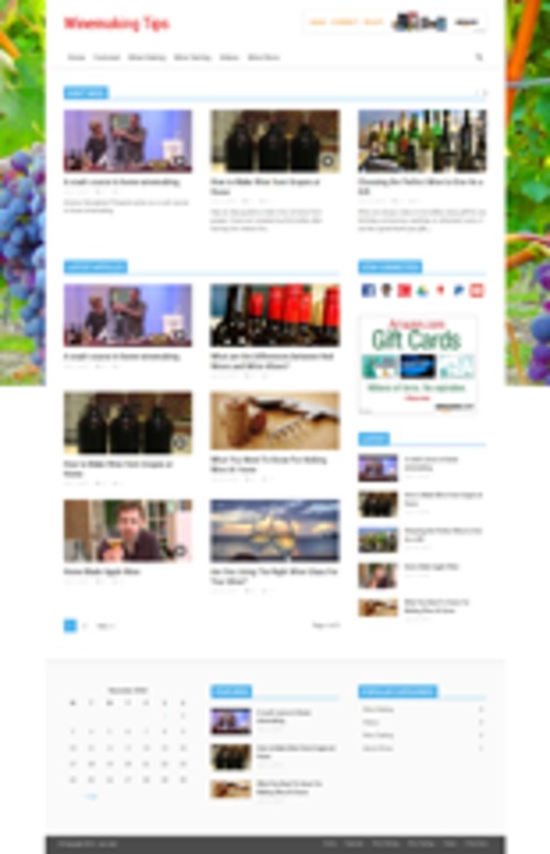 Product picture Wine Niche Blog 