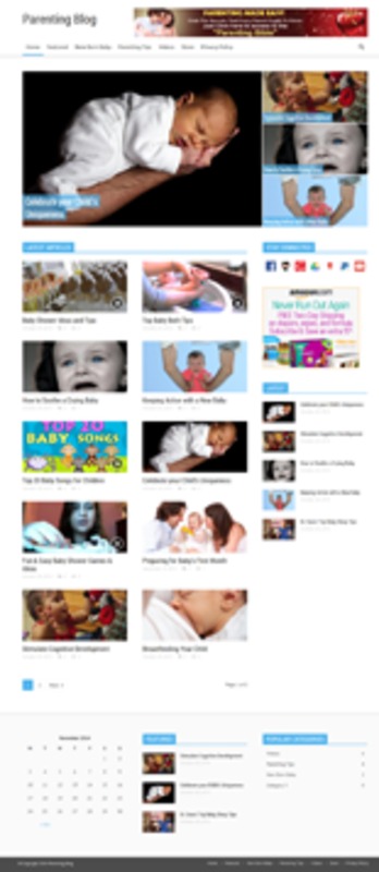 Product picture Parenting Niche Blog 