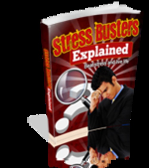 Product picture Stress Busters Explained 